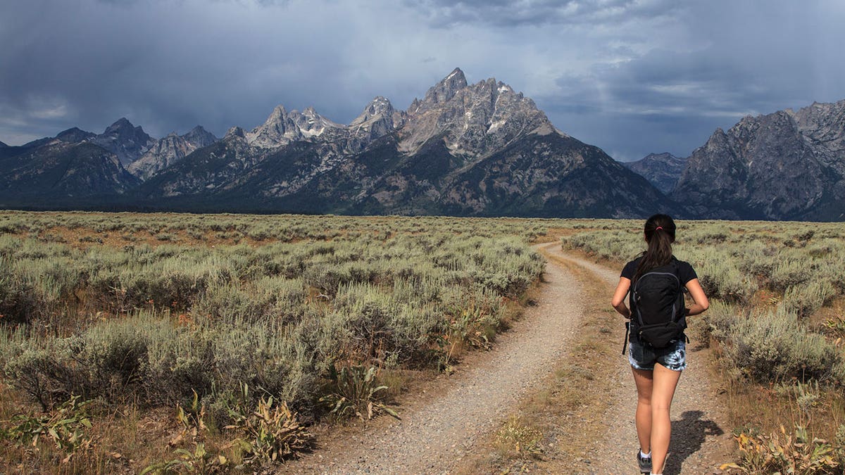 jackson hole istock