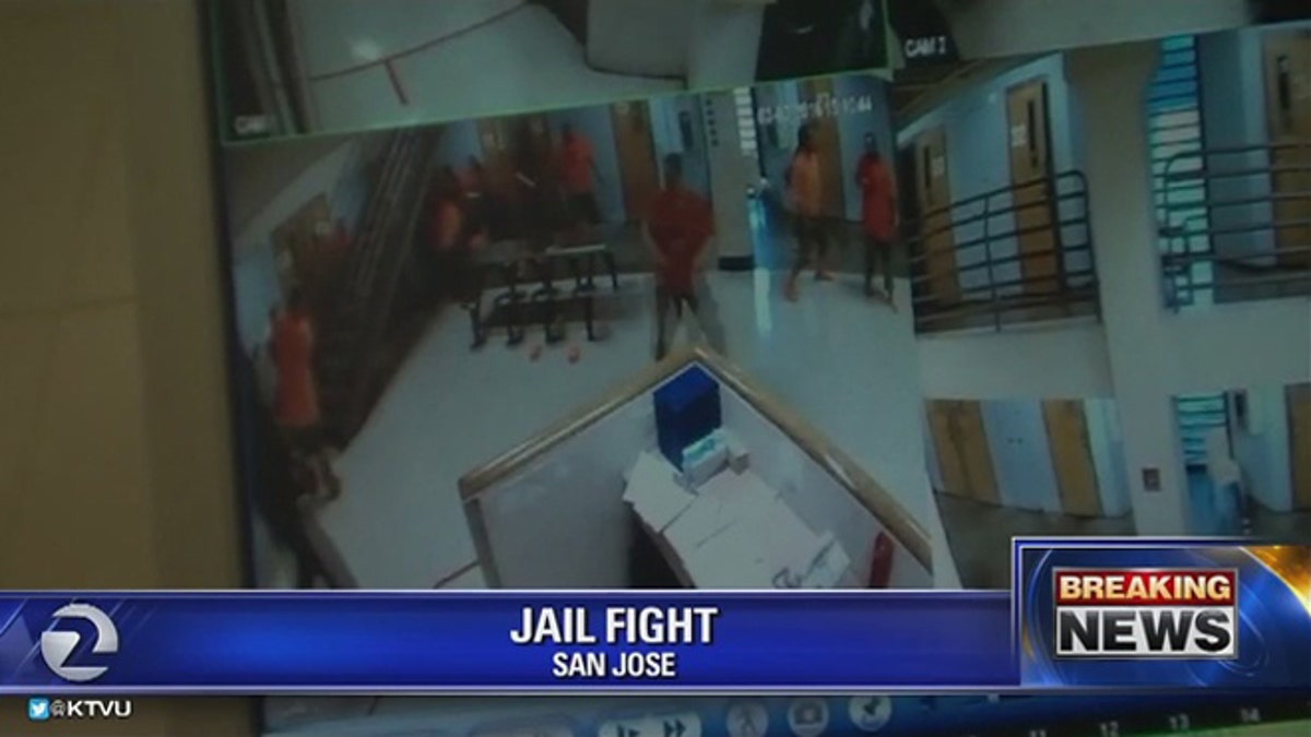jail fight