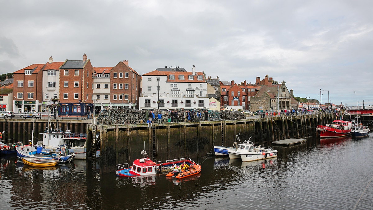 whitby swns