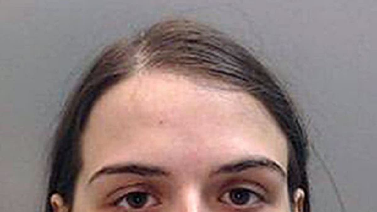 Woman who wore fake penis, tricked blindfolded friend into having sex with her sentenced Fox News picture image