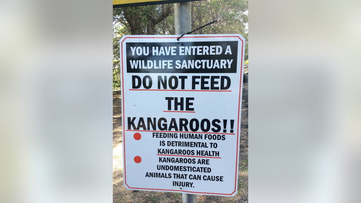 kangaroo attack 4