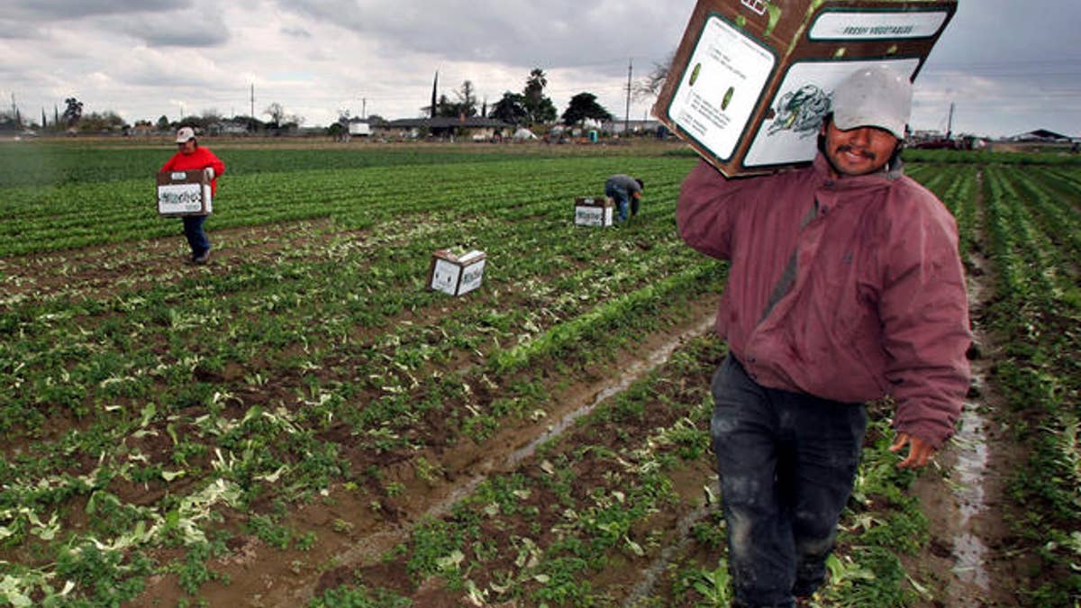 85cbeef5-IMMIGRATION