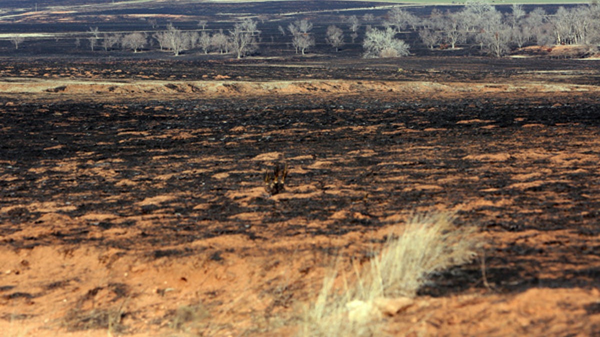 kansas wildfire (1)