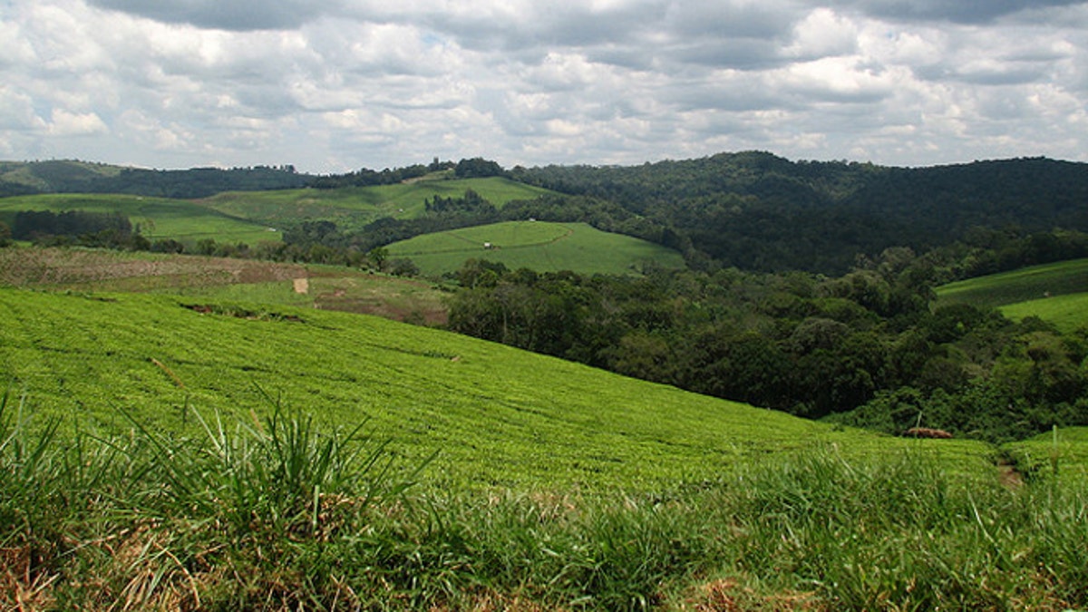 Bagaimana pekerjaan Anda cocok dengan lanskap kehidupan Anda