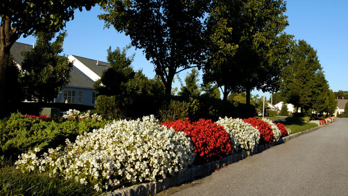 landscaping-commercial street