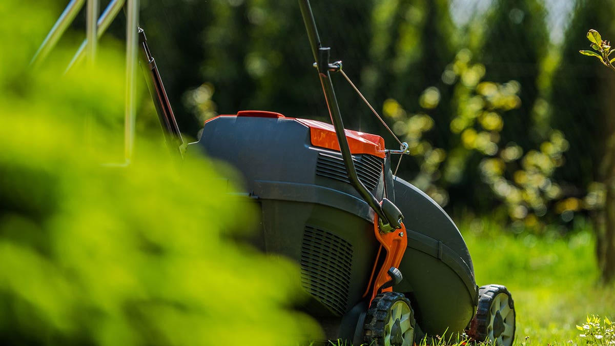 lawnmower istock