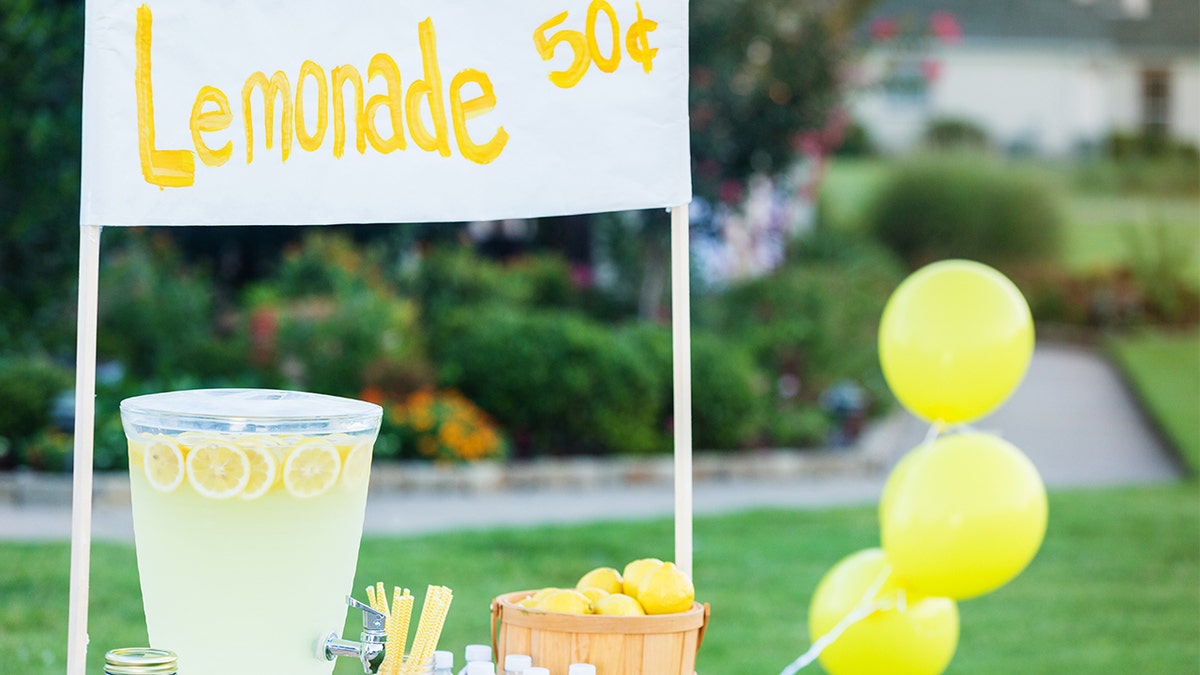grocery or lemonade stand for kids