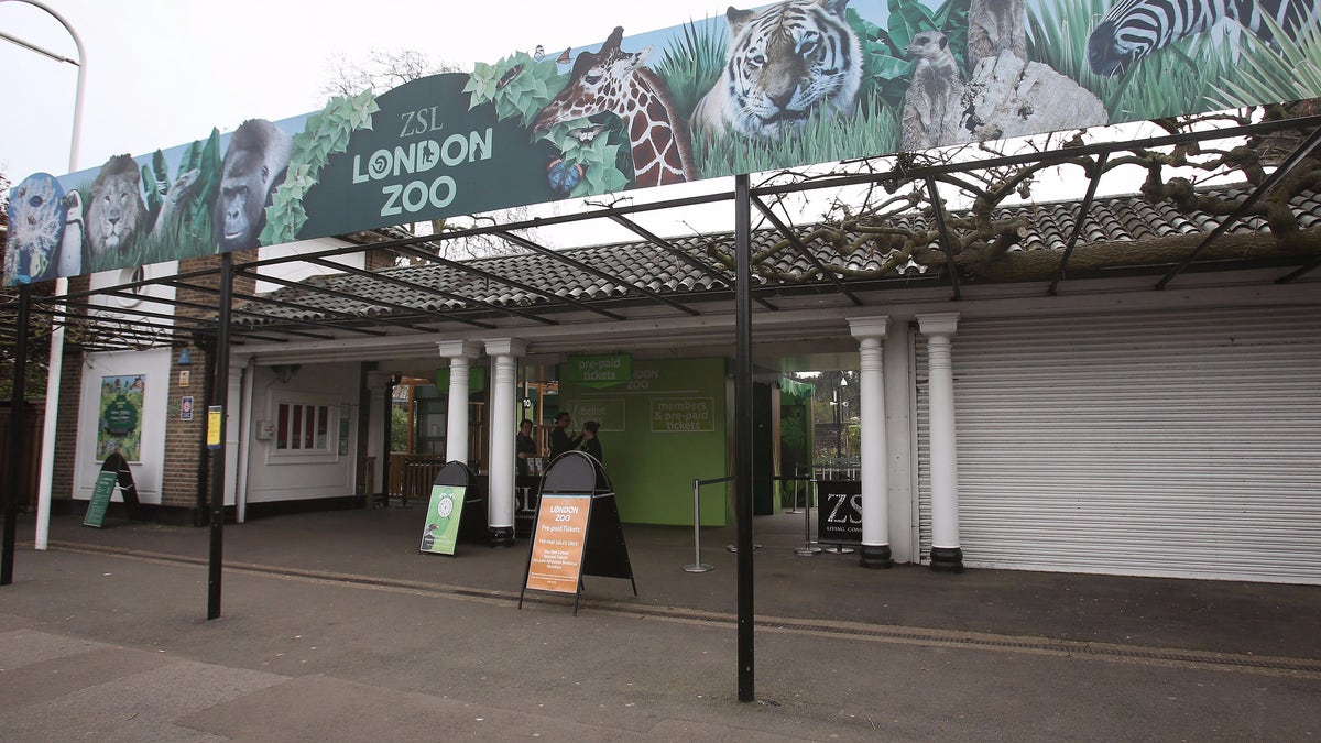 london zoo 1013