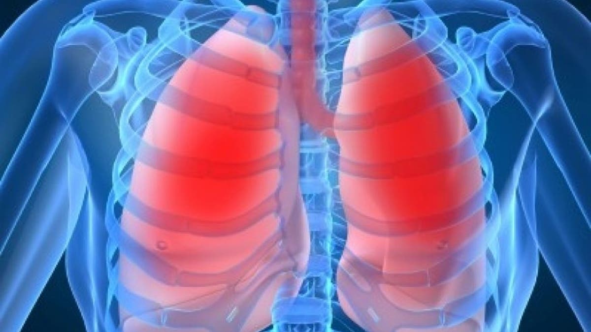 lungs istock