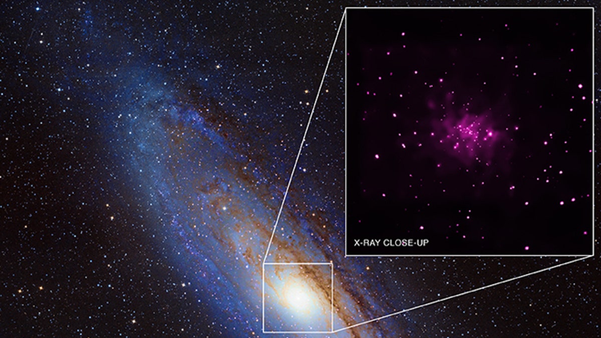 Black Hole Bonanza Turns up in Galaxy Next Door