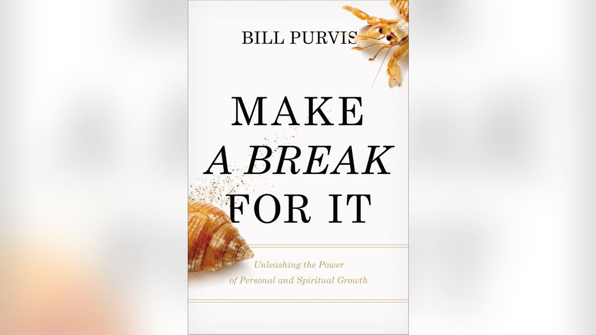 Make a Break for It book cover