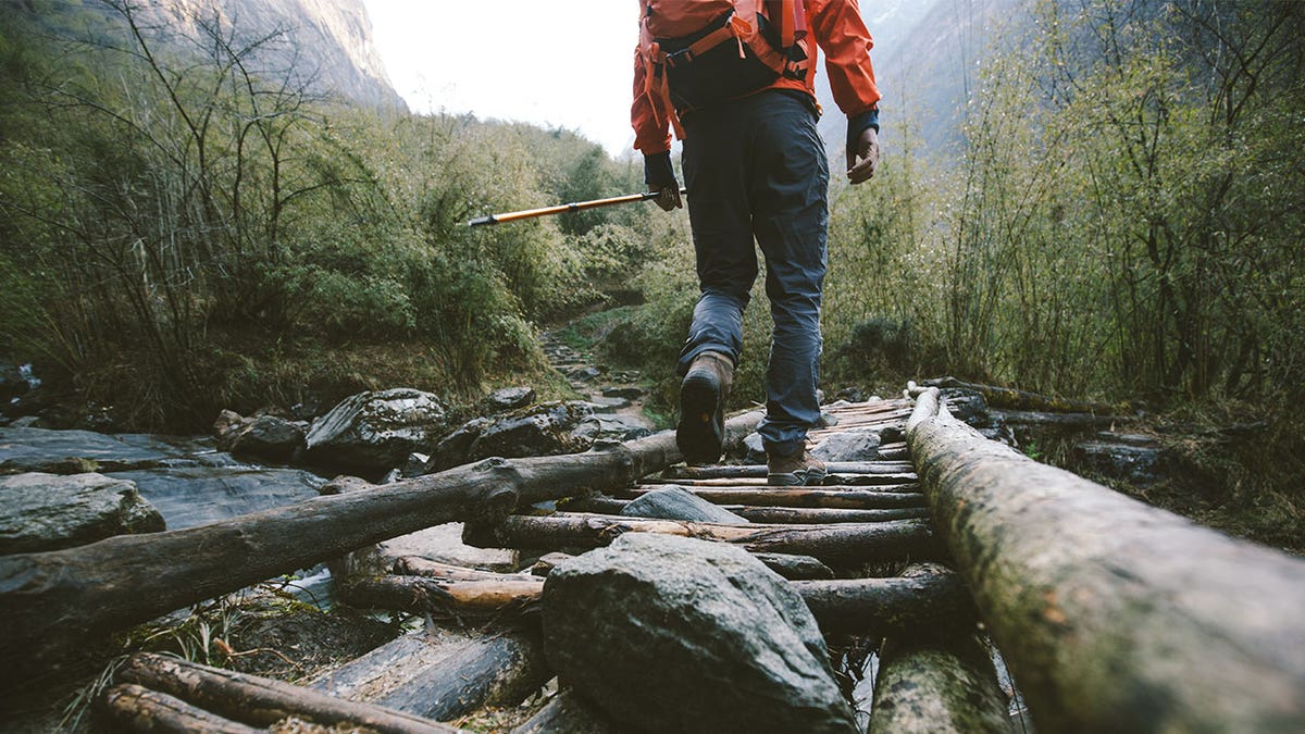 man hiking in woods