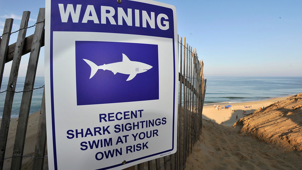 A sign warns visitors to Long Nook Beach of recent shark sightings, Wednesday, Aug. 15, 2018 in Truro, Mass. A man swimming off Cape Cod was attacked by a shark on Wednesday and was airlifted to a hospital. It was the first shark attack on a human on the popular summer tourist destination since 2012. (Merrily Cassidy/The Cape Cod Times via AP)