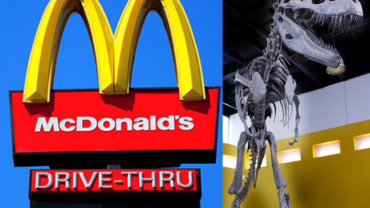 McDonald's dinosaur split