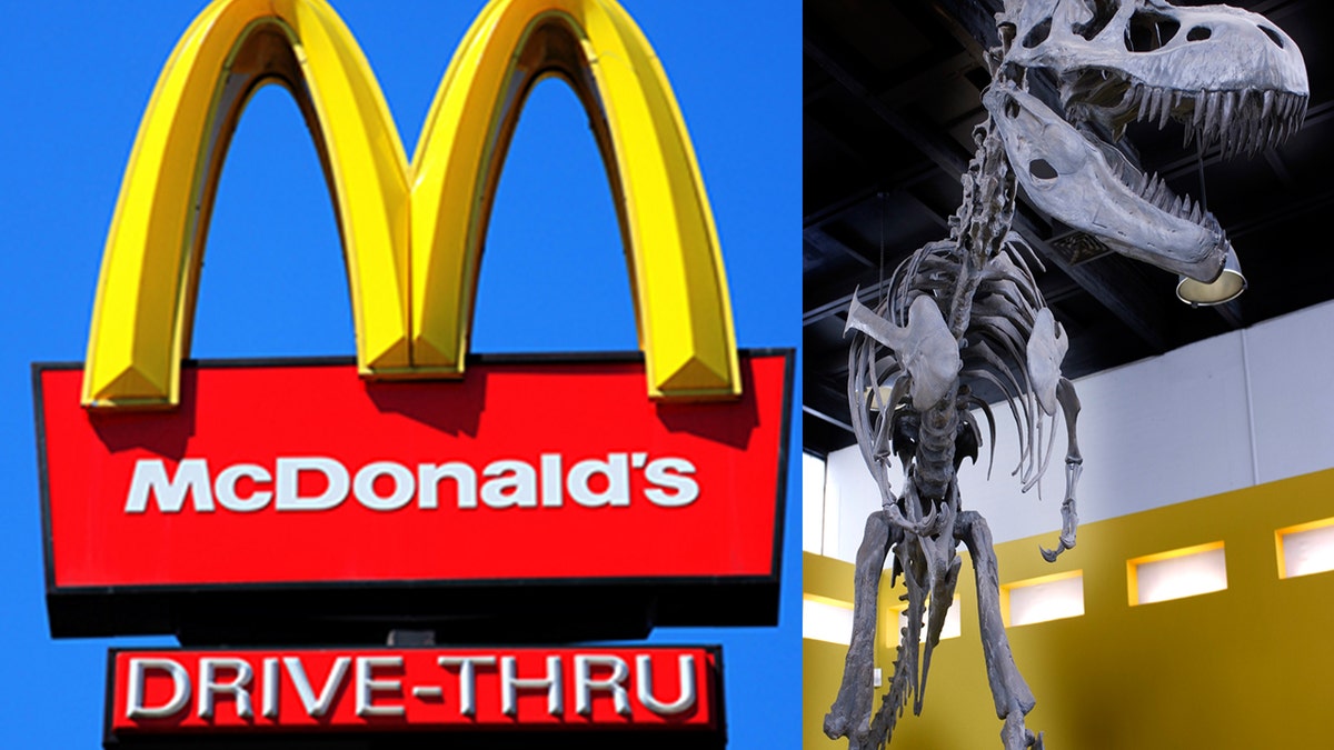 McDonald's dinosaur split