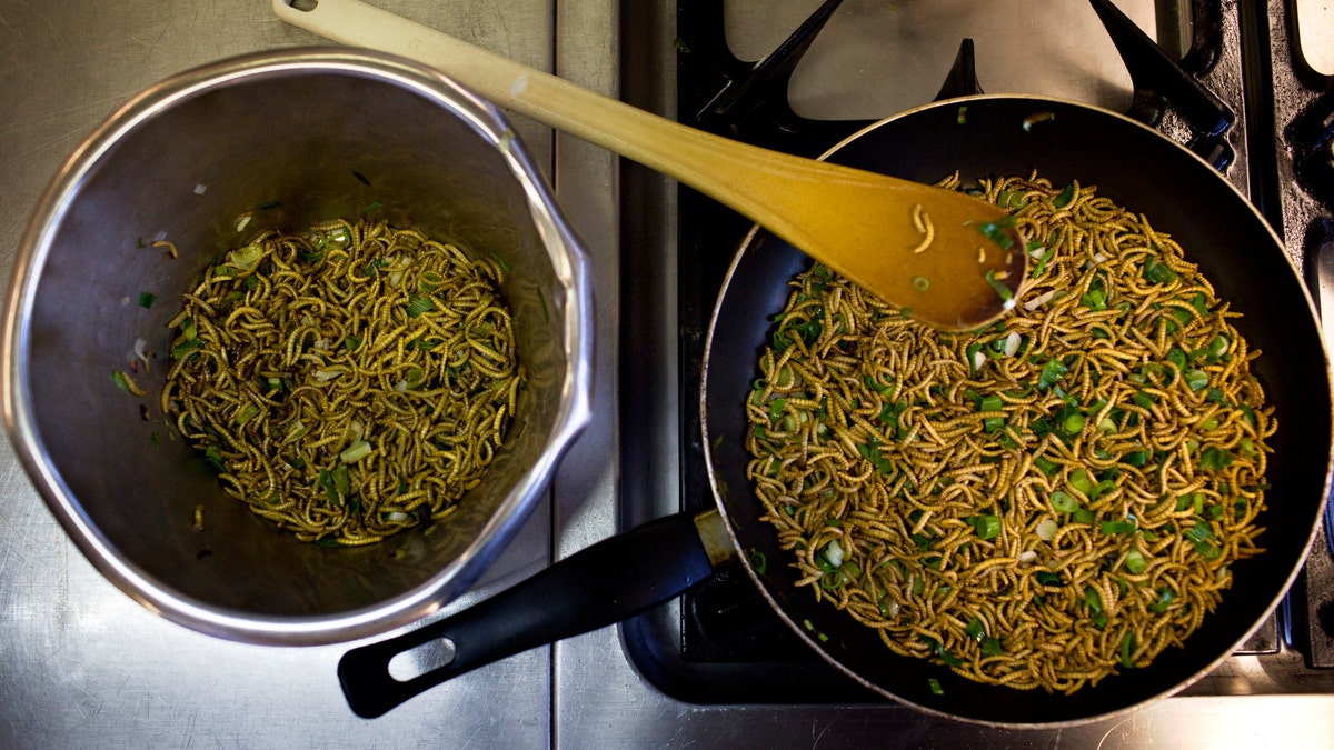 Mealworms and spring onions are stir-fried to be used in a quiche at the Rijn IJssel school for Chefs in Wageningen. (REUTERS/Jerry Lampen) 