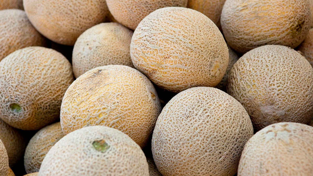 melons_listeria