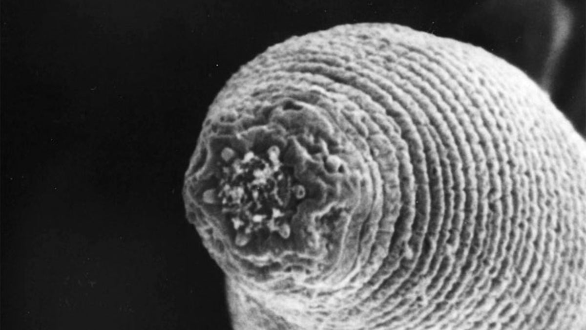 2e77cc1a-