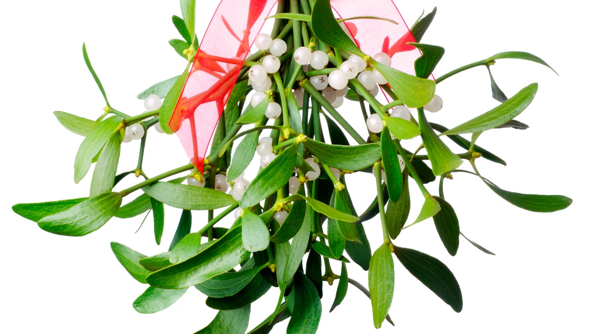 Hanging green mistletoe with a red bow