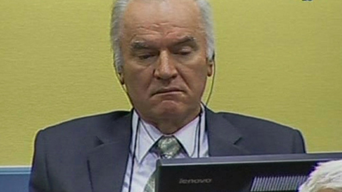 Netherlands War Crimes Mladic