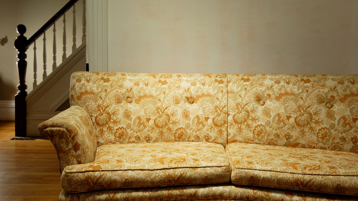 moldy couch istock