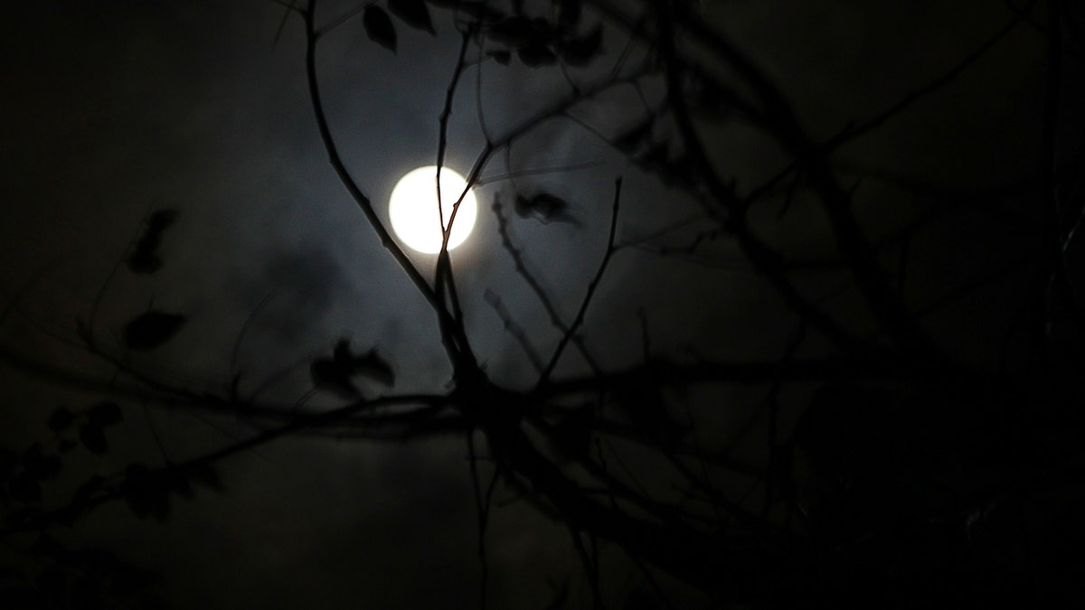 moon_2