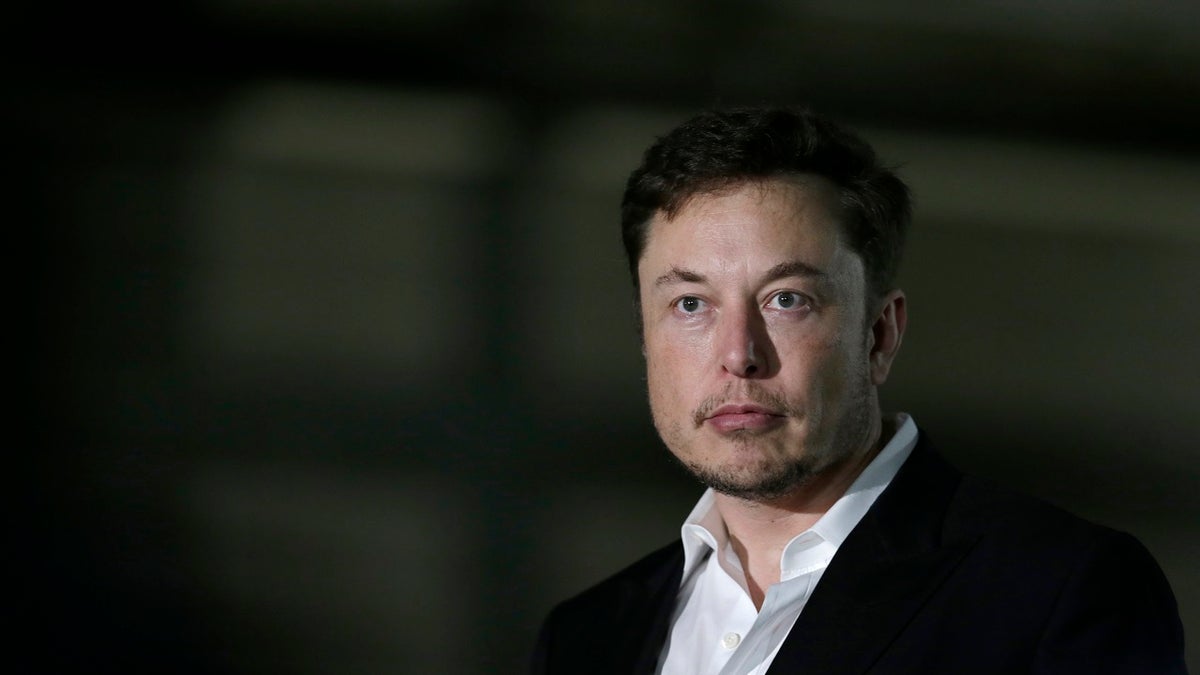 Musk cropped