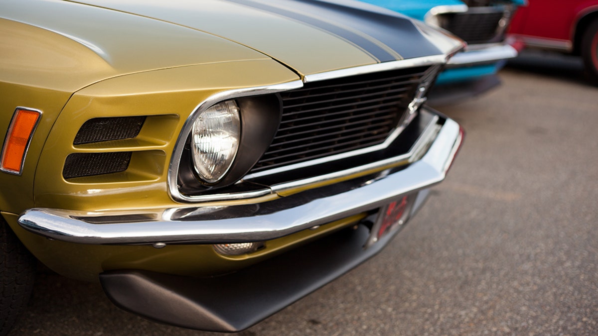 mustang istock