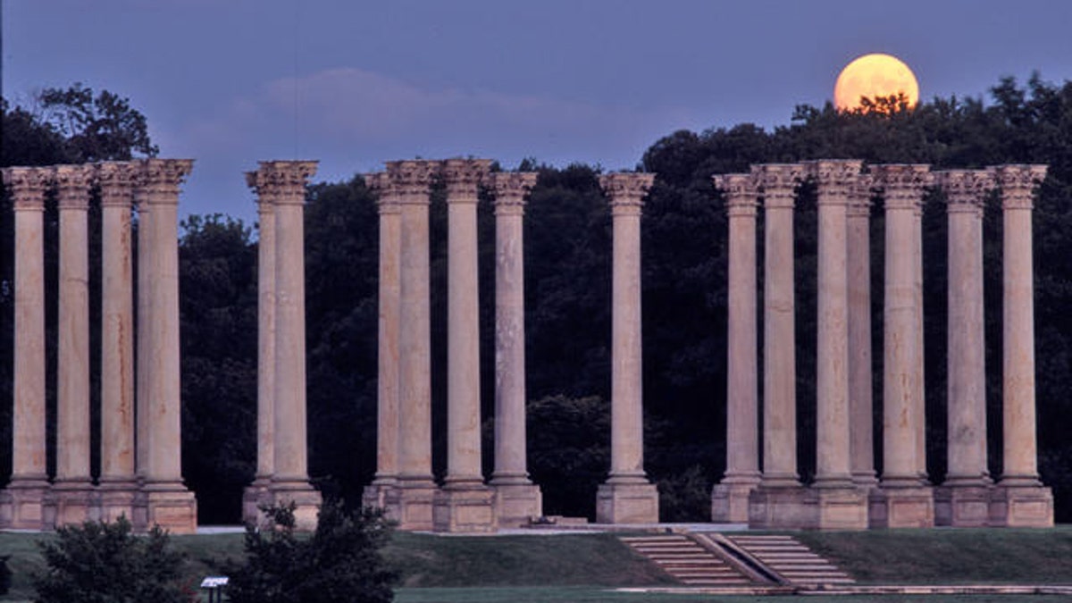 national arboretum