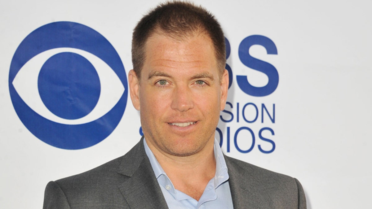 TV-Michael Weatherly-NCIS