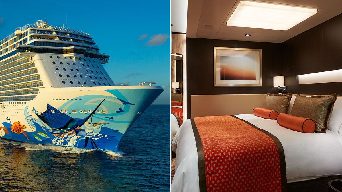 norwegian cruise line escape stateroom NCL