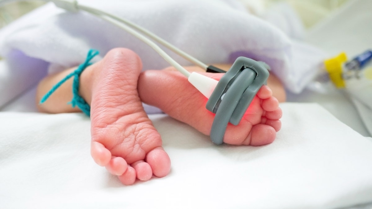 neonatal intensive care unit istock large