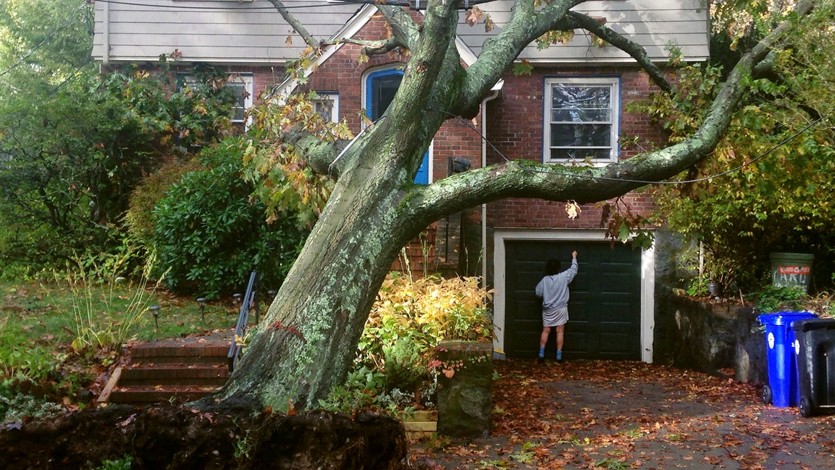 New England Storm Damage 1