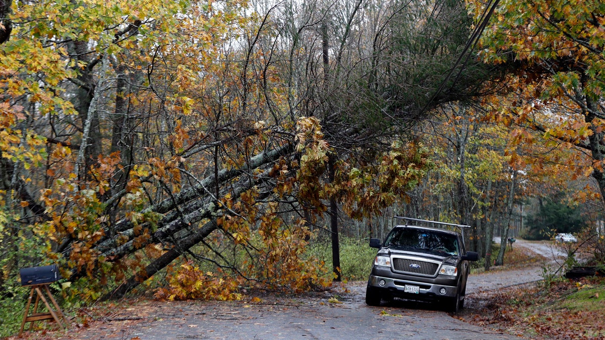 New England Storm Damage 3