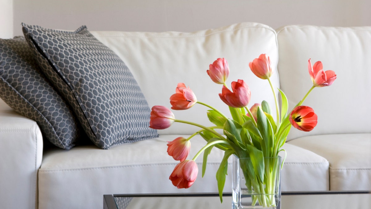 red tulips in modern living room - home decor
