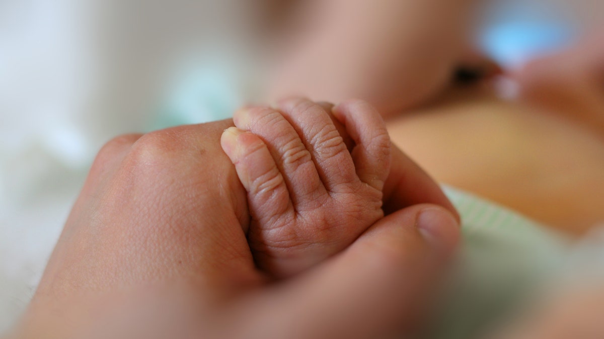 newborn baby hand istock large