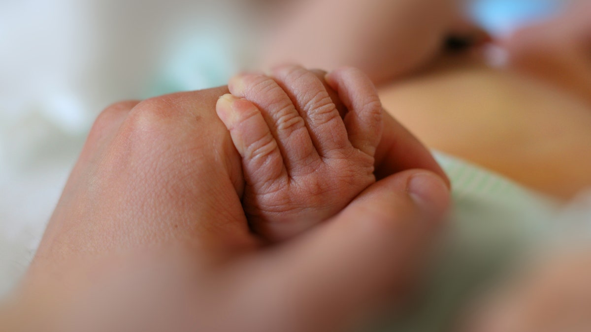 newborn baby hand istock large