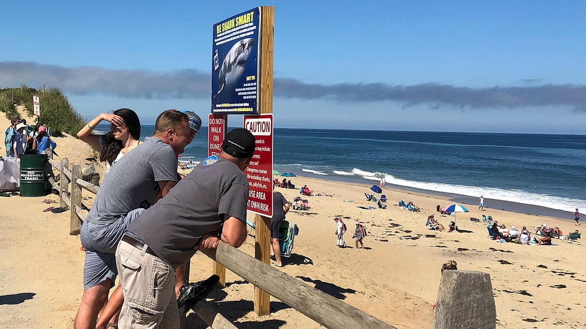 newcomb beach ap susan haigh