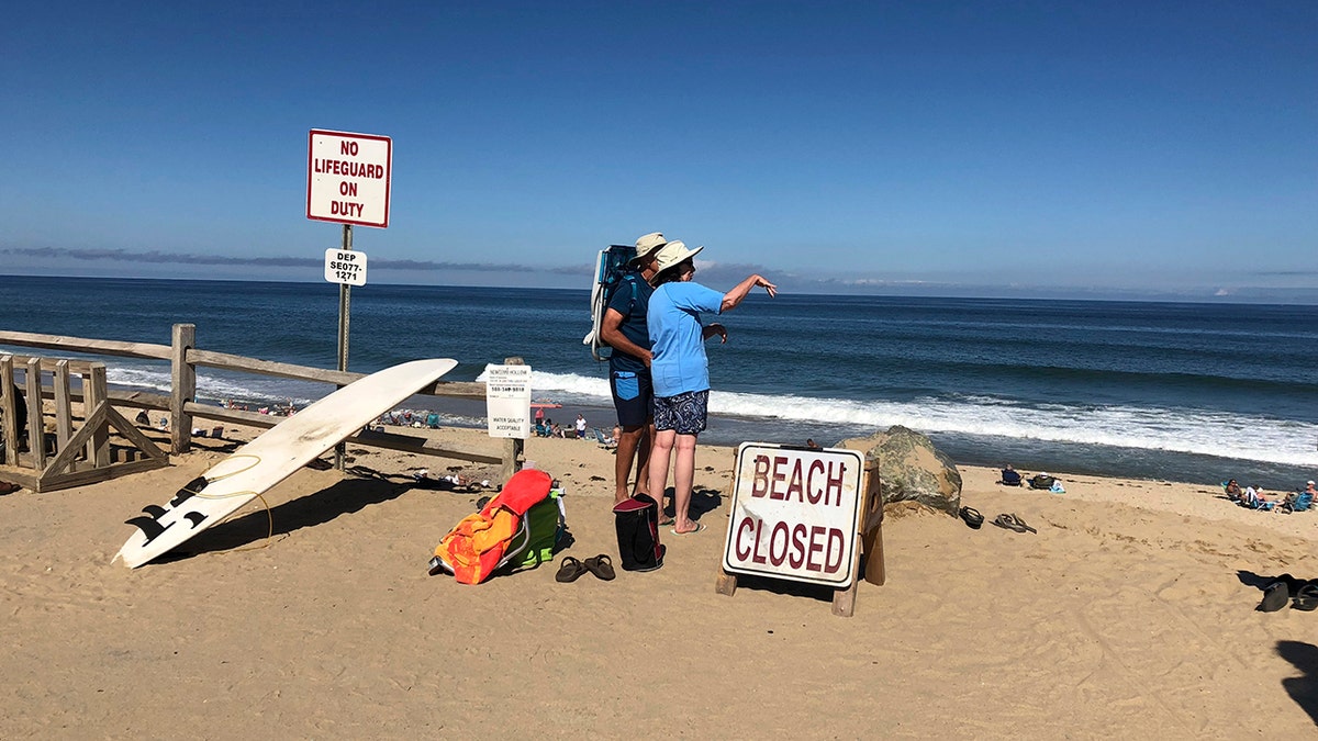 newcomb beach ap susan haigh