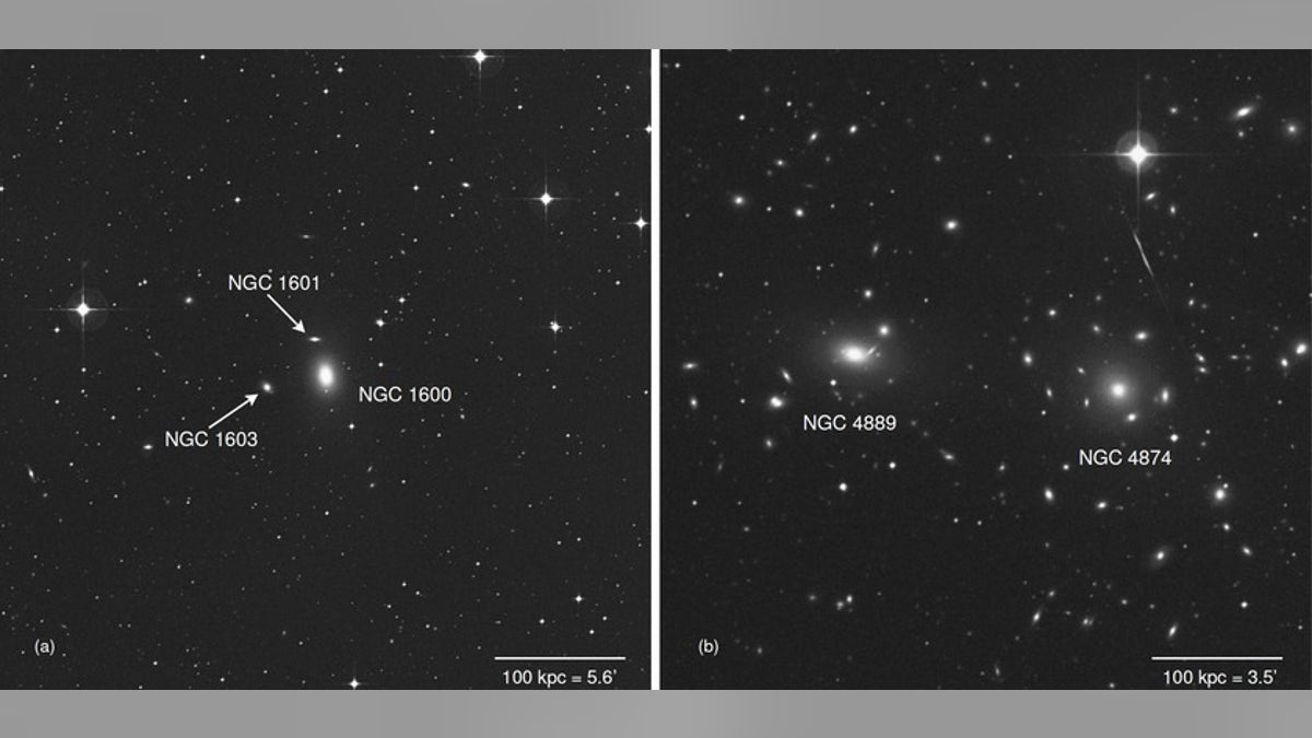 NGC1600