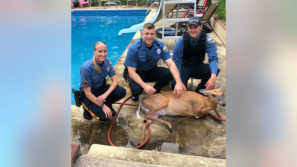 e0358162-deer new jersey township of hamilton police department