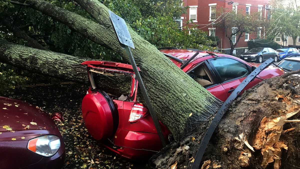 Northeast Storm Damage 1