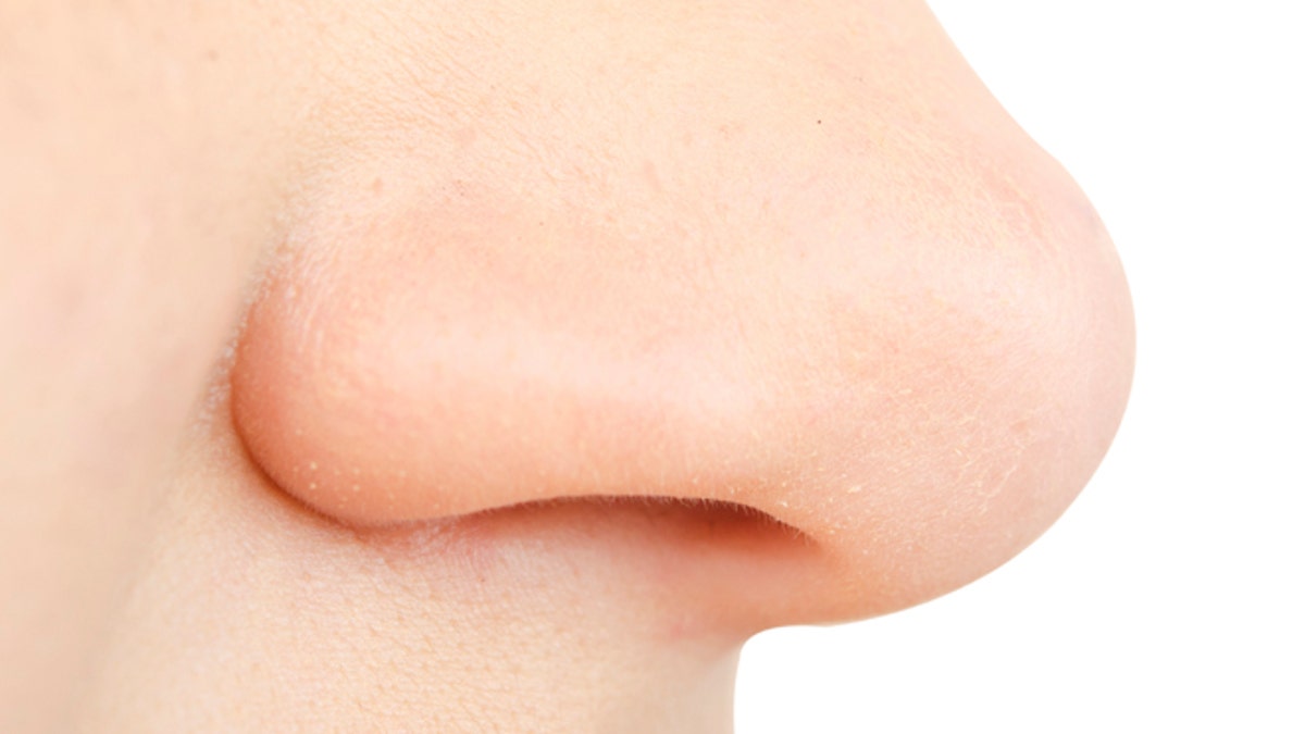 human nose