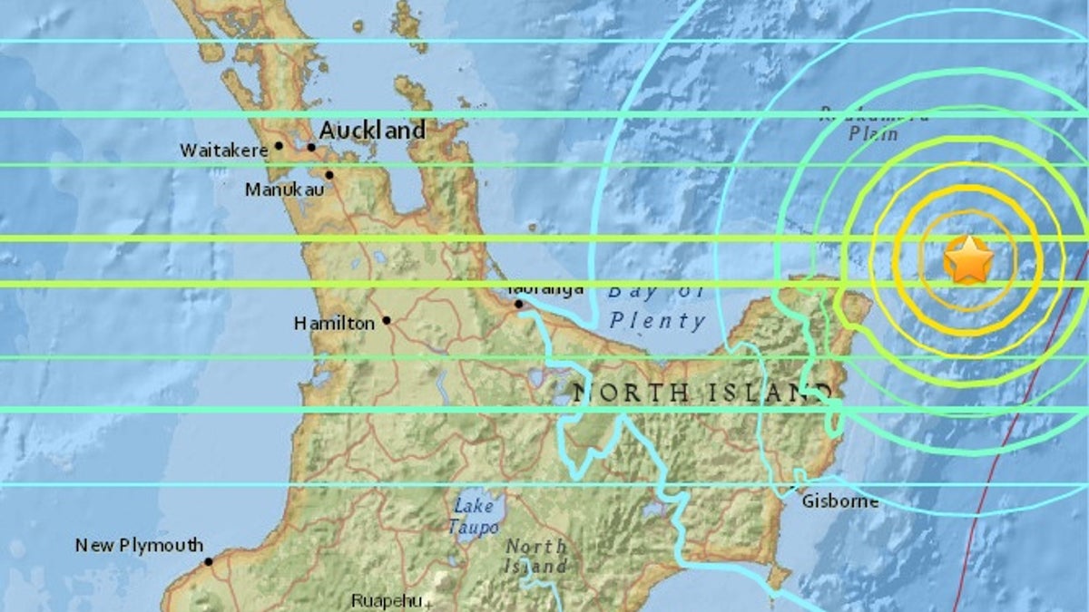 nz quake 91