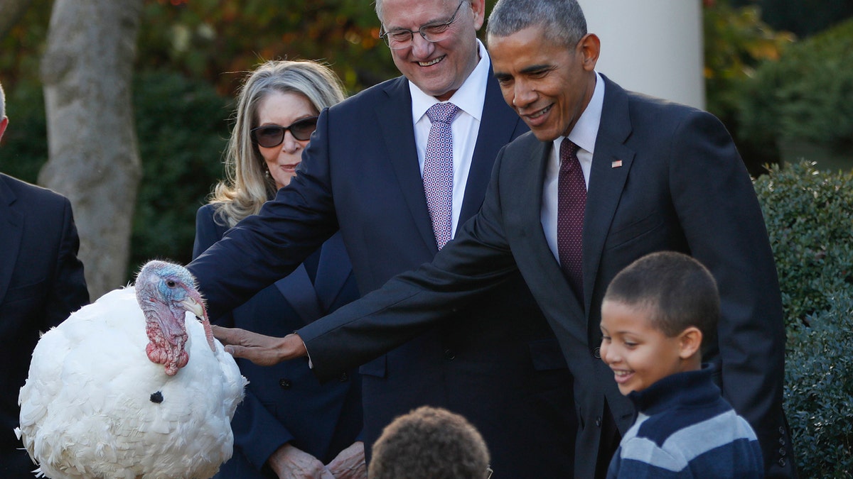 b650833b-Obama Turkey Pardon