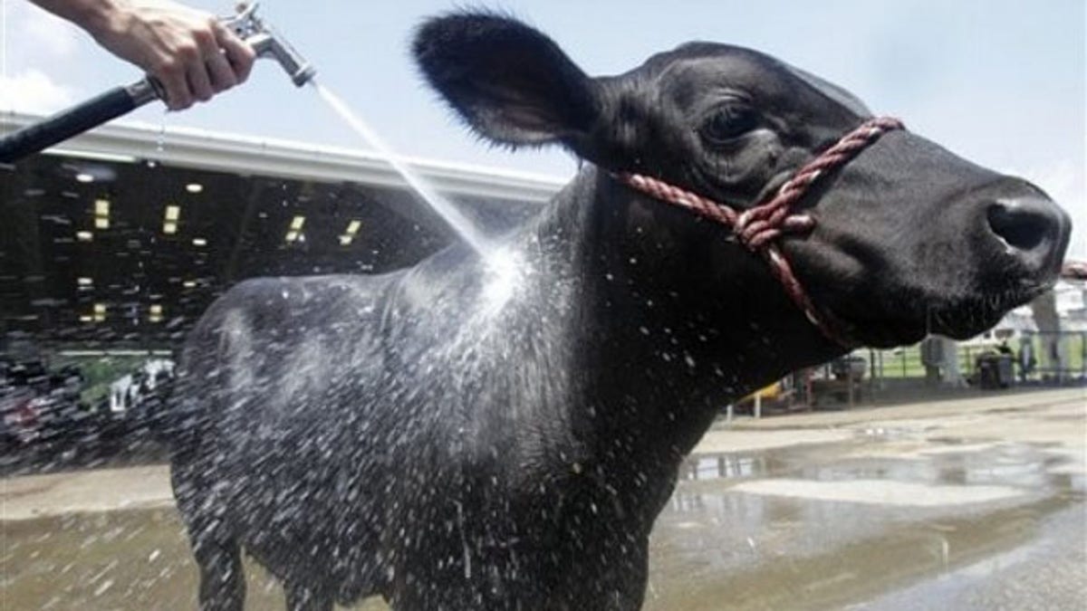 Food And Farm Heat Wave
