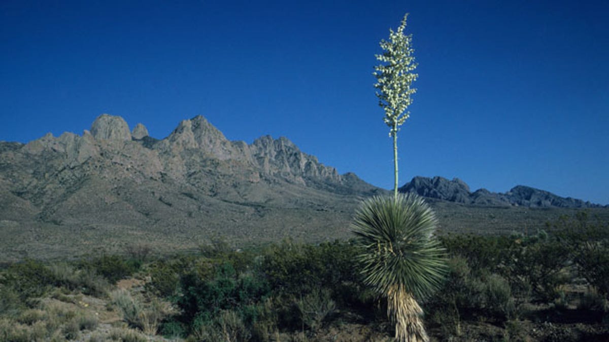 Zona hutan belantara di New Mexico tidak akan hilang dari tangan penyelundup, kata para aktivis