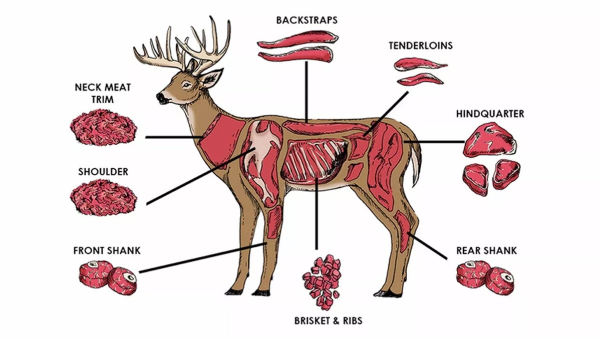 outdoor life venison may van millengen