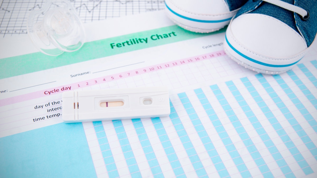 Fertility tracking spreadsheet