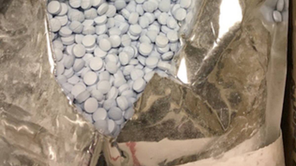 Woman Reportedly Received 20 000 Oxycodone Pills In Mail Instead Of   Oxycodone Pills York County Multijurisdictional Drug Enforcement Unit 